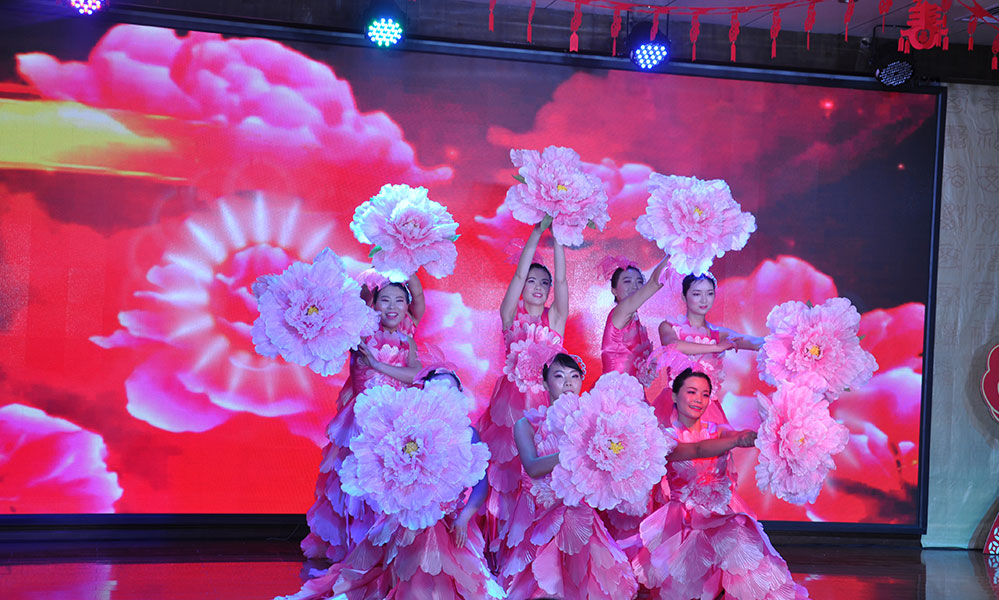 龍躍科隆-花開(kāi)盛世——2016年度文藝匯演